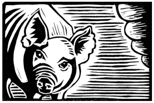 Pig