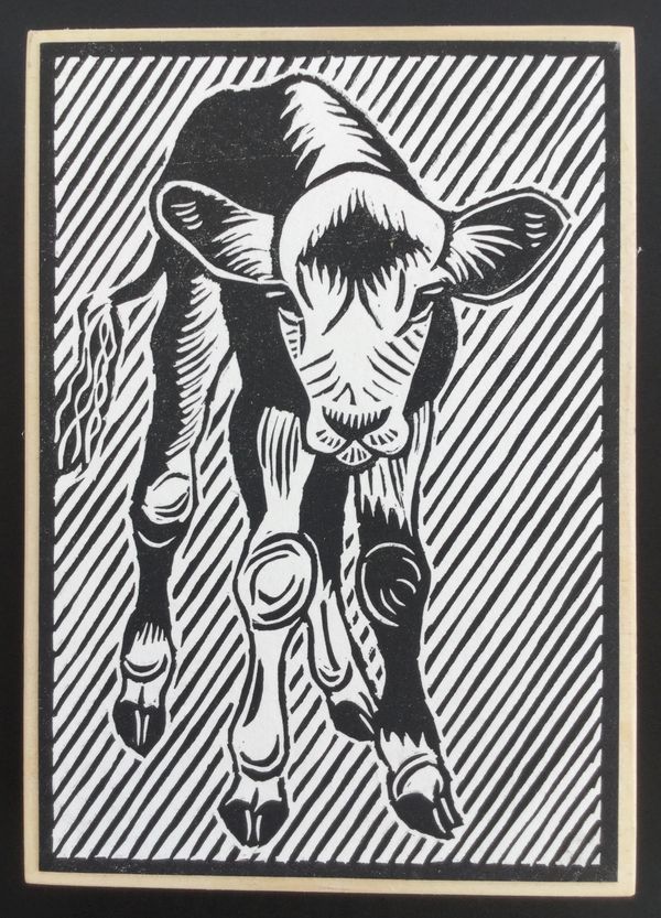 Calf