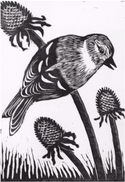 American Goldfinch