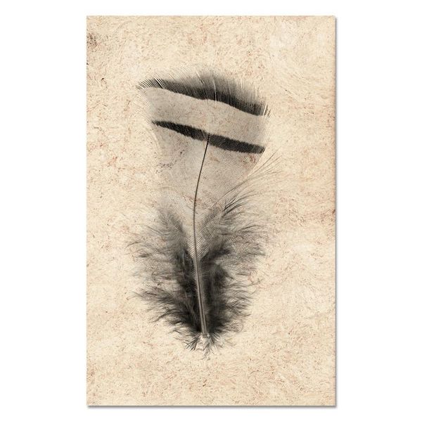 Feather Study #15 (Chuckar Partridge) copy