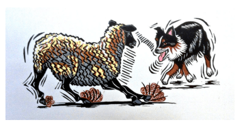 Herding