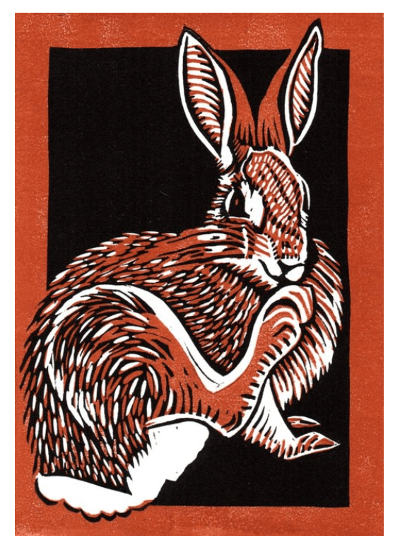 Rabbit Foot
